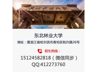 齐齐哈尔东北林业大学