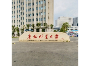 牡丹江东北林业大学