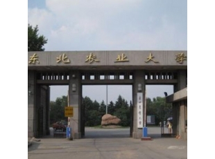 大庆东北农业大学